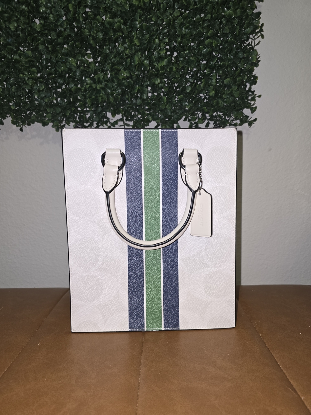 Coach White Canvas Tote with Navy & Green Stripe Dylan Tote